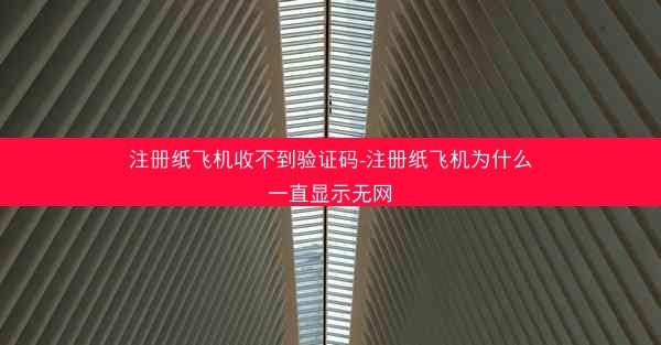 注册纸飞机收不到验证码-注册纸飞机为什么一直显示无网