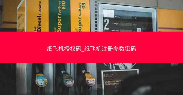 纸飞机授权码_纸飞机注册参数密码
