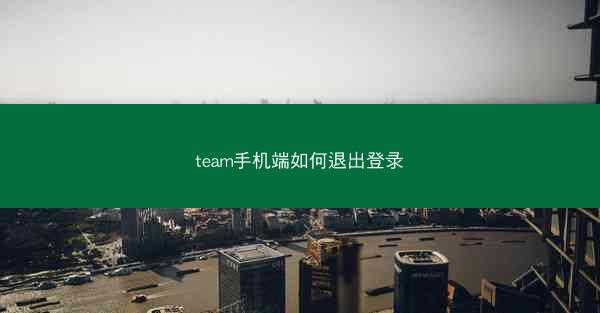 team手机端如何退出登录