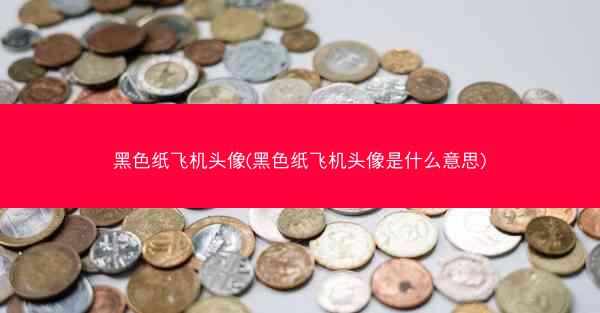黑色纸飞机头像(黑色纸飞机头像是什么意思)