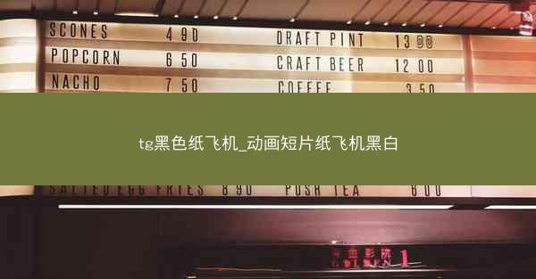 tg黑色纸飞机_动画短片纸飞机黑白