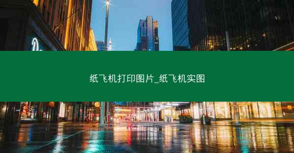纸飞机打印图片_纸飞机实图