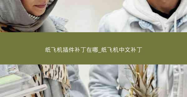 纸飞机插件补丁在哪_纸飞机中文补丁