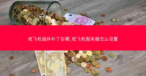 纸飞机插件补丁在哪_纸飞机服务器怎么设置